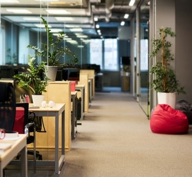 Best Office Plants: Enhance Your Workspace with Greenery