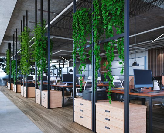 The Benefits of Biophilic Design in Modern Office Spaces